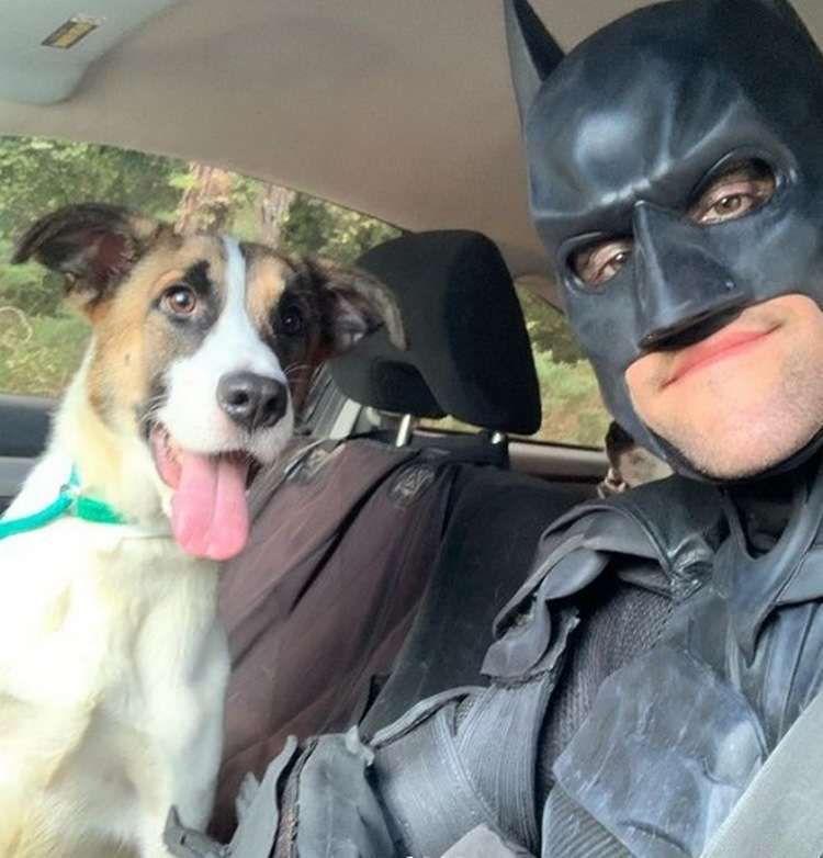 batman con cane