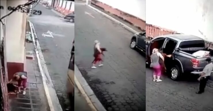 Una donna vede un cane randagio in difficoltà e ferma la sua auto per aiutarlo