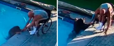 Un uomo su una sedia a rotelle ha salvato il suo cane che stava annegando in piscina