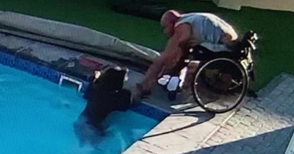 Un uomo su una sedia a rotelle ha salvato il suo cane che stava annegando in piscina