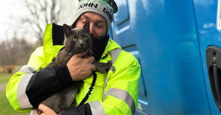 Il camionista si commuove quando ritrova il suo amato gatto smarrito mesi prima