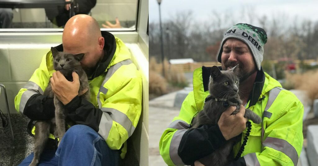 Il camionista si commuove quando ritrova il suo amato gatto smarrito mesi prima