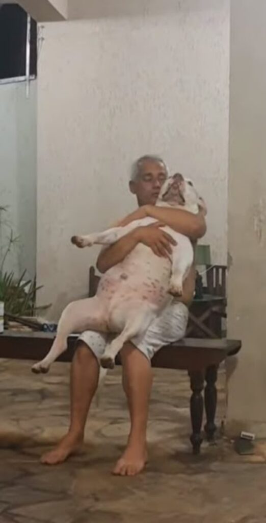 padre e pitbull