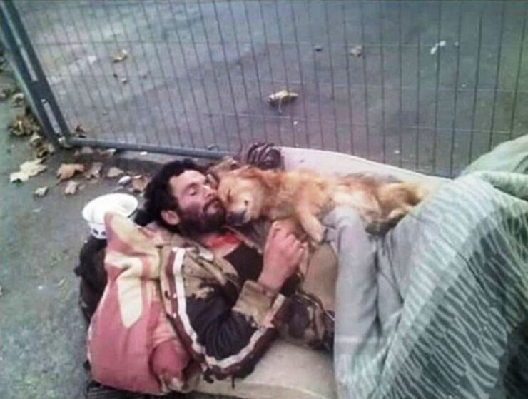senzatetto e cane