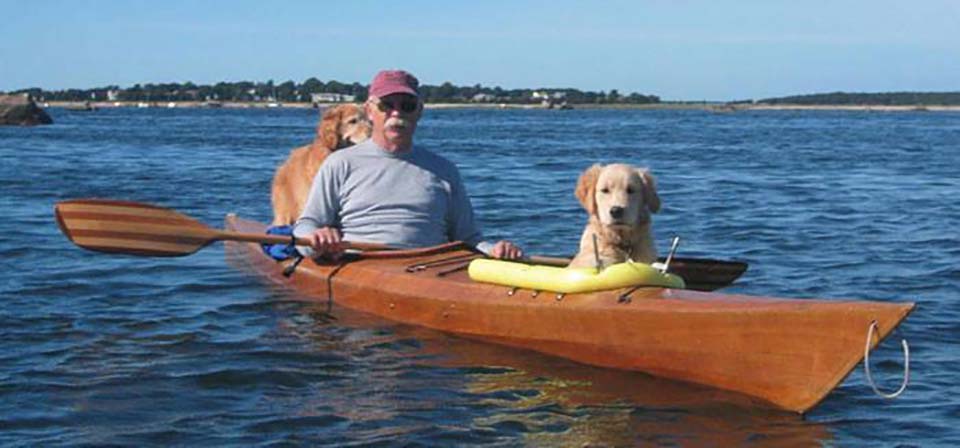 golden retriver e david