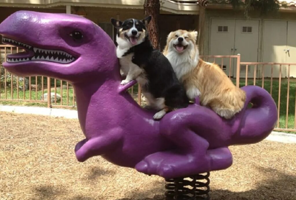 cane su dinosauro viola 