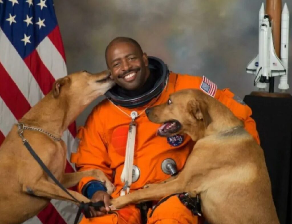 cani baciano uomo con tuta spaziale 