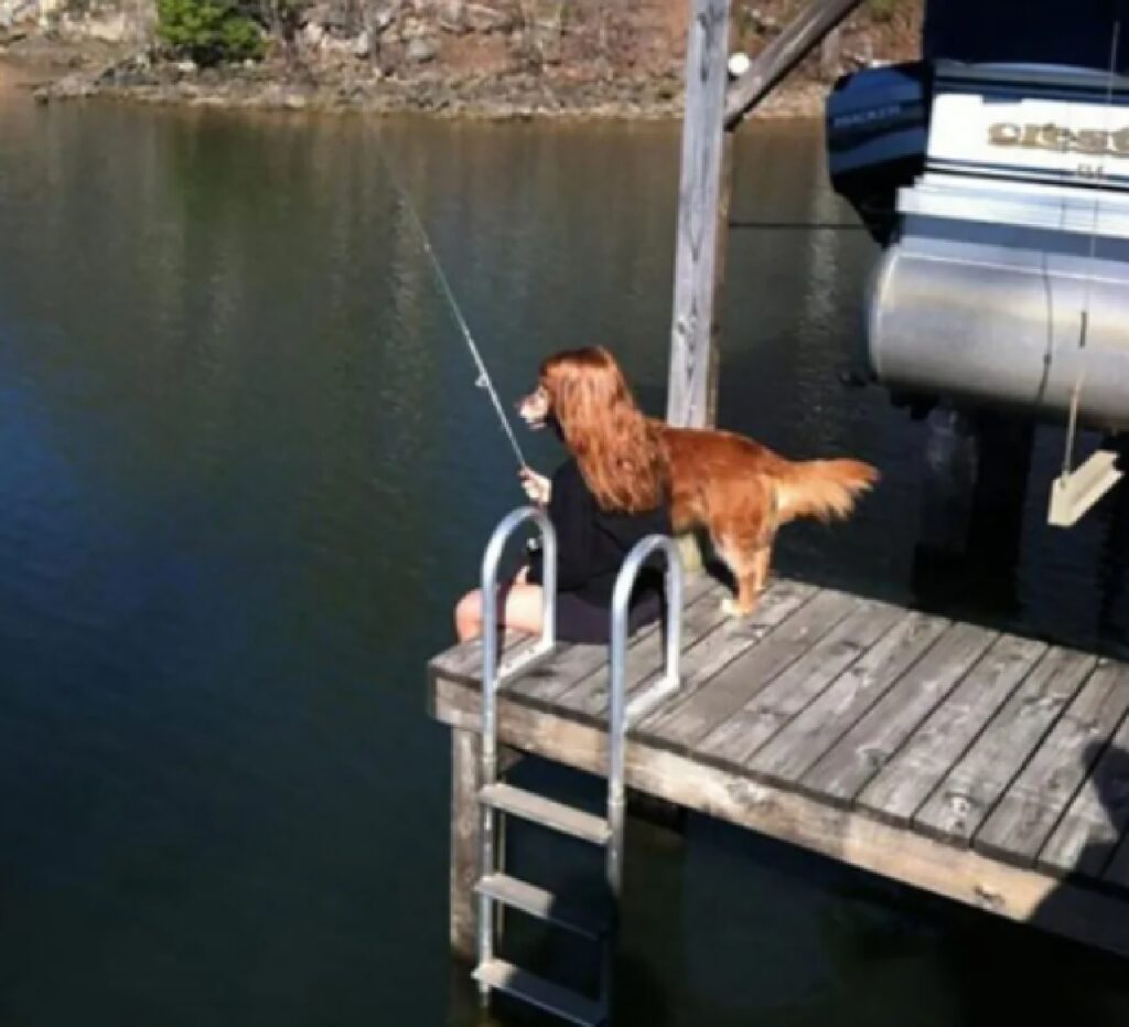 cane sembra poter pescare 