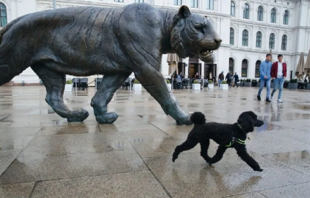 cagnolino statua tigre 