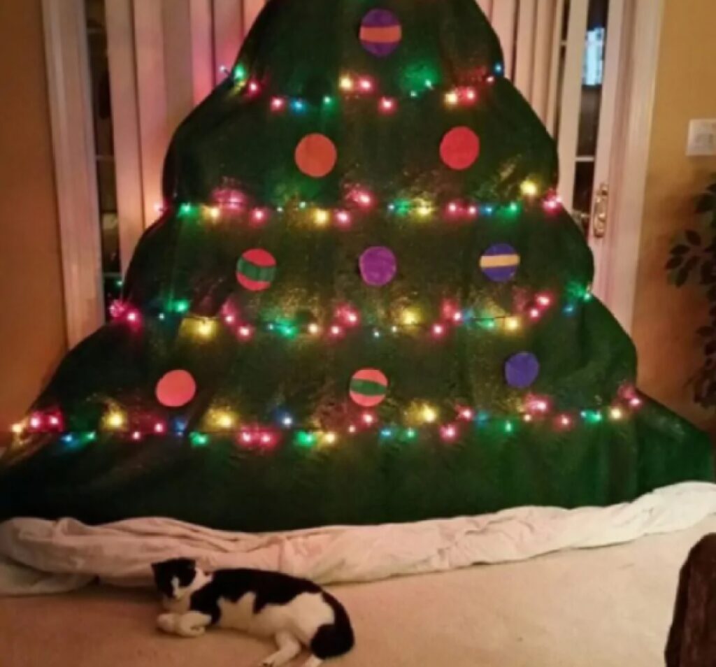 gatto davanti coperta forma albero 