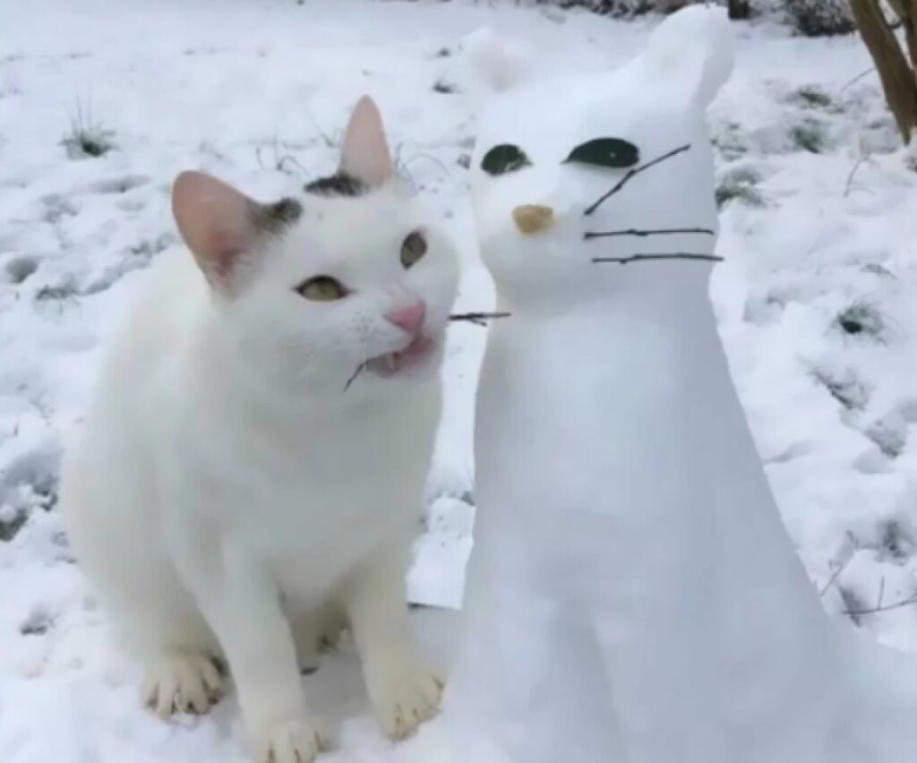 gatto gioca con pupazzo di neve 