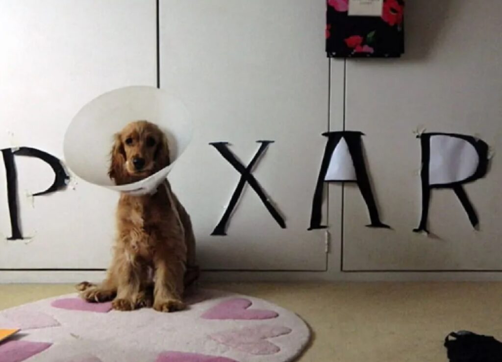 cane simbolo della pixar 