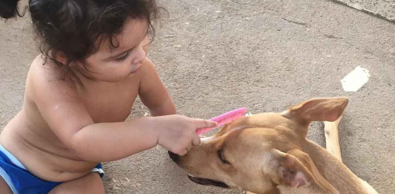 Bimba fa il pisolino con il suo cane