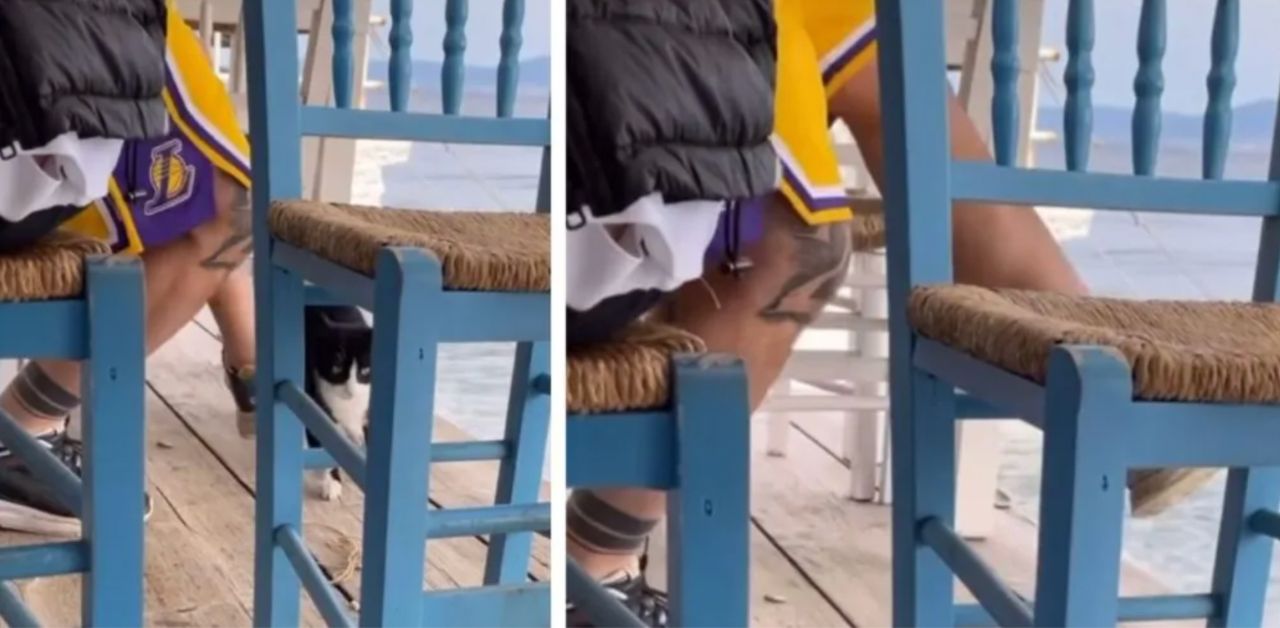 Uomo prende a calci un gattino e viene filmato: rischia 10 anni di galera