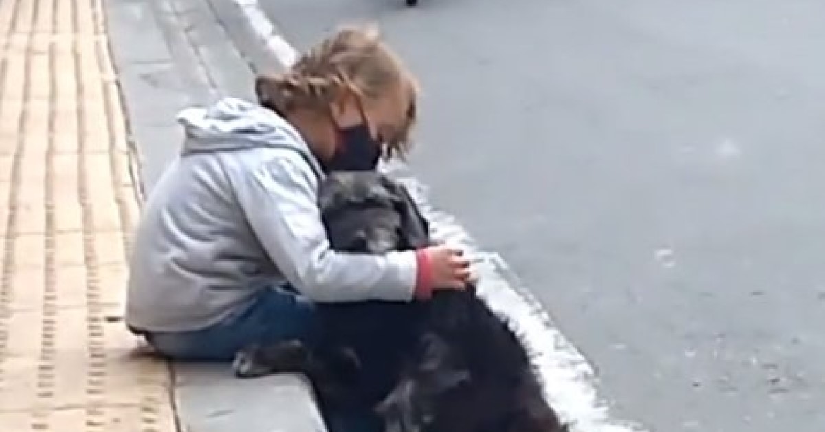 Cagnolona aspetta il suo padroncino all'uscita da scuola