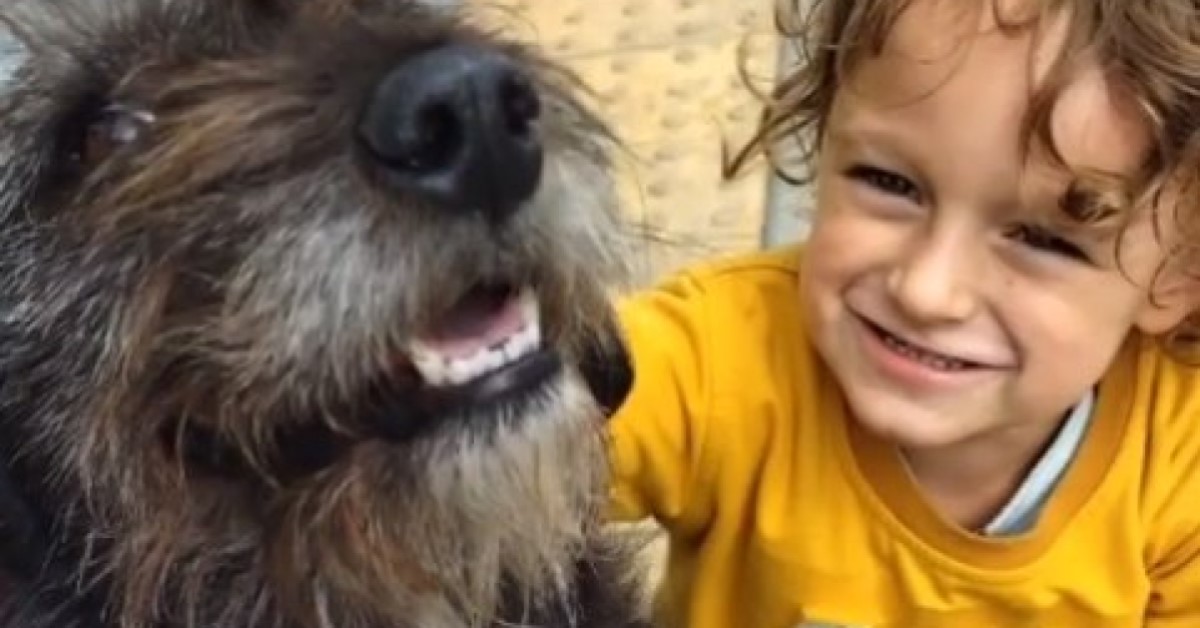 Cagnolona aspetta il suo padroncino all'uscita da scuola