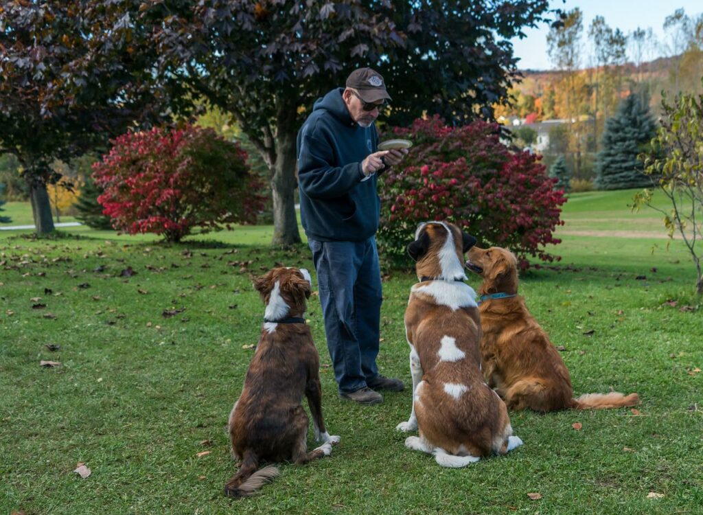 come addestrare il tuo cane 