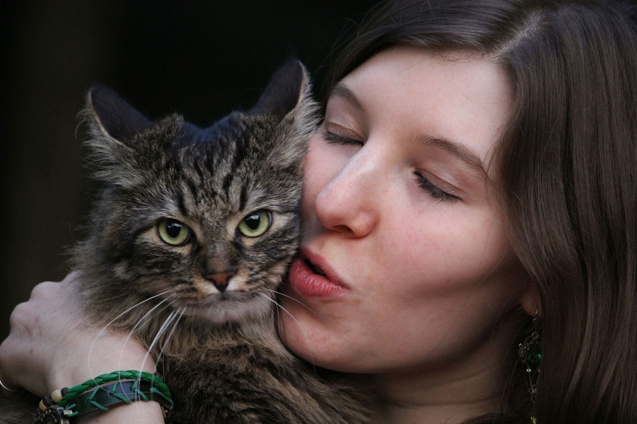 allontanamento gatto casa