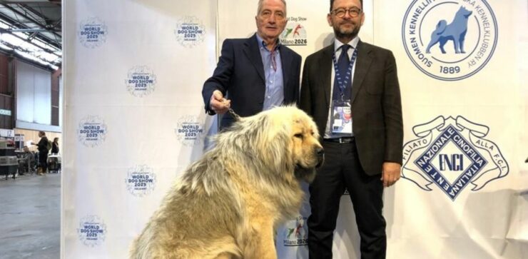 Il cane più bello d’Europa si chiama Kitana ed è calabrese