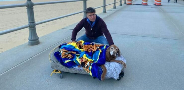 Ha realizzato un lettino mobile per far vedere il mare al suo cane anziano prima di morire