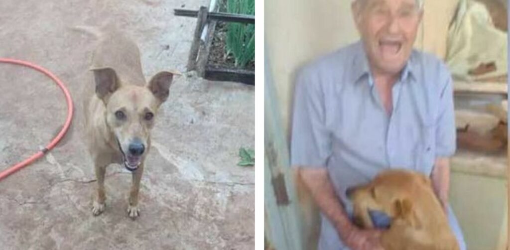 Un uomo di 90 anni è molto felice quando gli permettono di adottare un cane