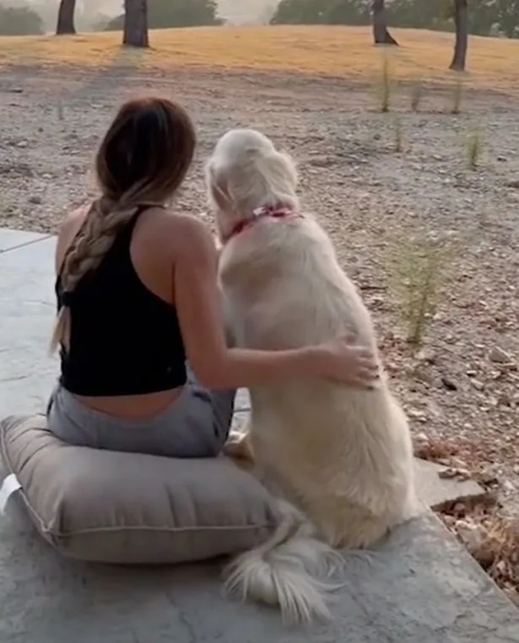 cane insieme alla padrona