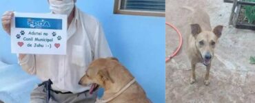 Un uomo di 90 anni è molto felice quando gli permettono di adottare un cane
