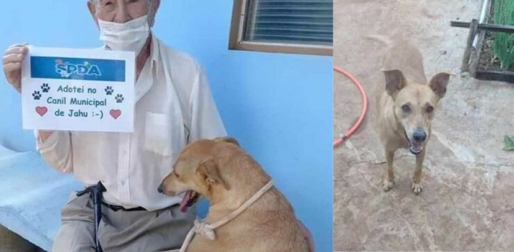 Un uomo di 90 anni è molto felice quando gli permettono di adottare un cane