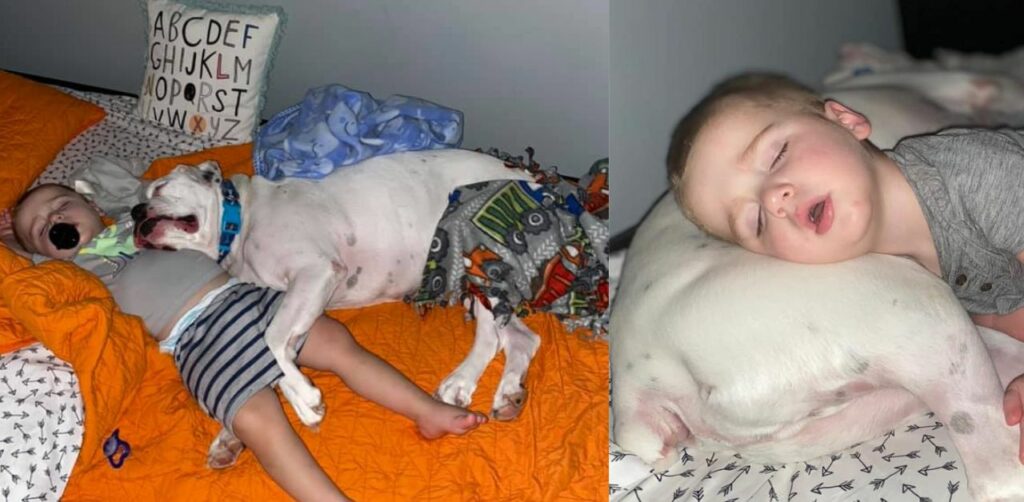 Il bambino e il suo cane sono inseparabili, dormono insieme tutte le notti
