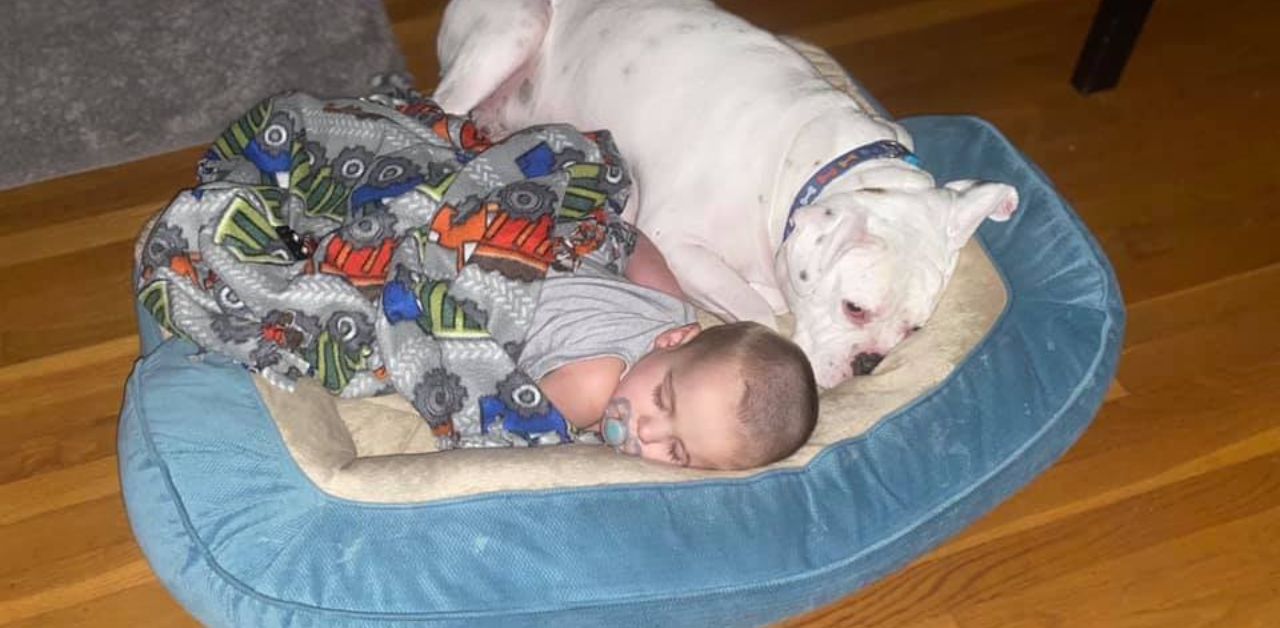 Il bambino e il suo cane sono inseparabili, dormono insieme tutte le notti