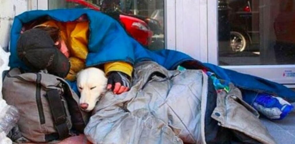 Un senzatetto e il suo cucciolo si aggrappano l'uno all'altro mentre cercano di sopravvivere al freddo