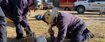 Il pompiere si arrampica in una buca di 4 metri per salvare un cucciolo in pericolo