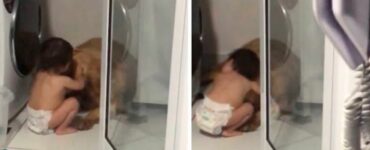 Cucciolo spaventato dai tuoni viene consolato da una bambina di 1 anno