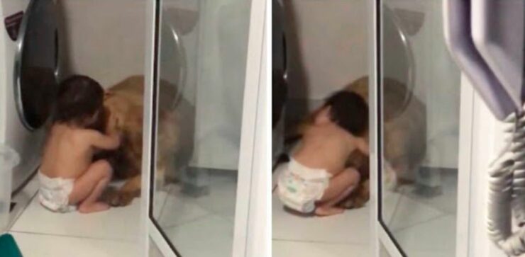 Cucciolo spaventato dai tuoni viene consolato da una bambina di 1 anno