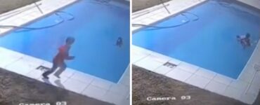 Salva il suo cucciolo che stava affogando: bambino di 5 anni diventa un eroe