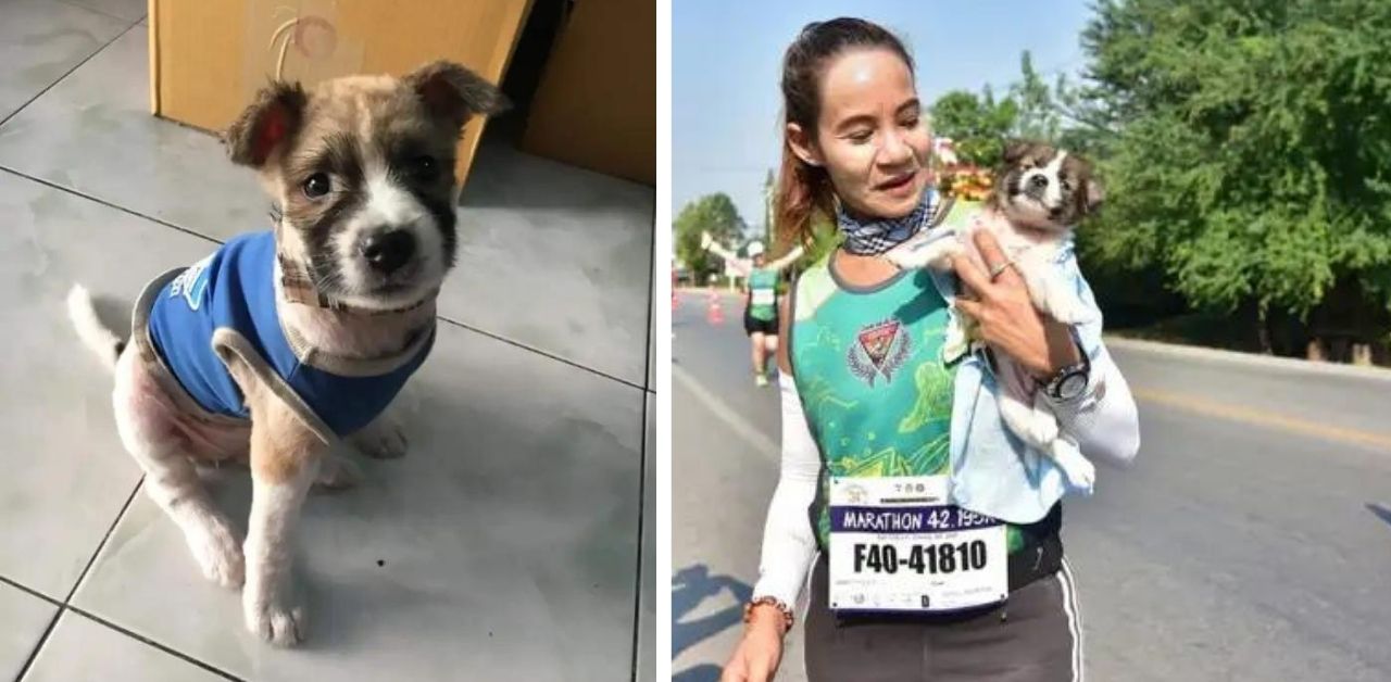 Atleta si ferma a salvare un cucciolo abbandonato durante una maratona