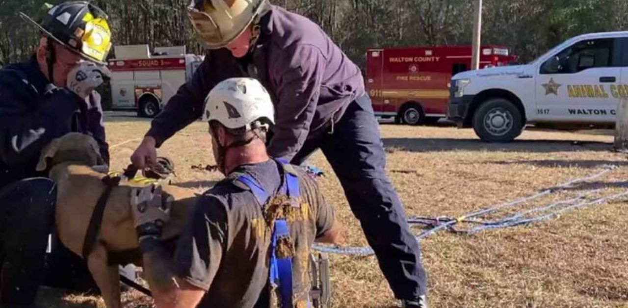 Il pompiere si arrampica in una buca di 4 metri per salvare un cucciolo in pericolo