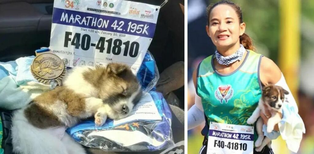 Atleta si ferma a salvare un cucciolo abbandonato durante una maratona