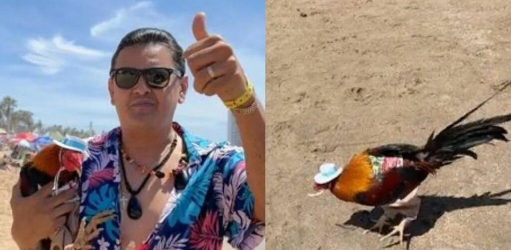 Un uomo porta il suo gallo in vacanza al mare: "Si merita tutto"