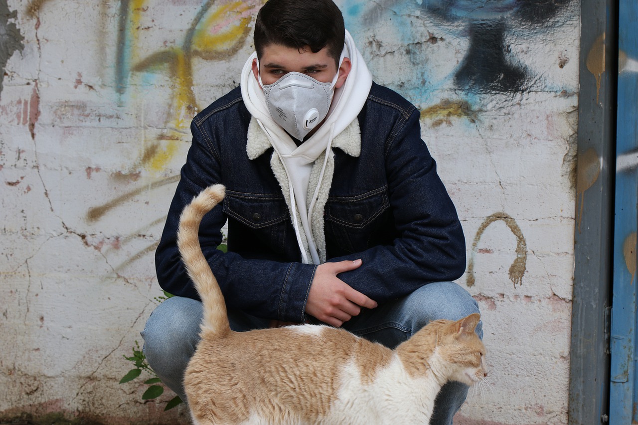 gatti aiutano a superare pandemia Covid-19