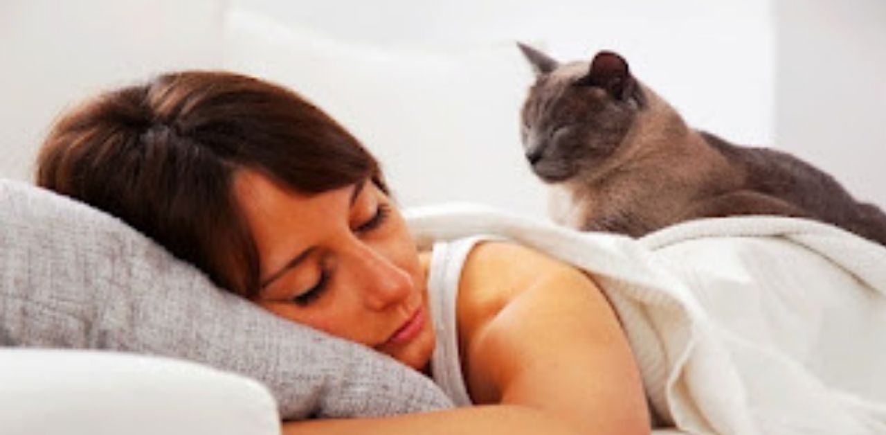 Perché il mio gatto dorme con me e non con mio marito?