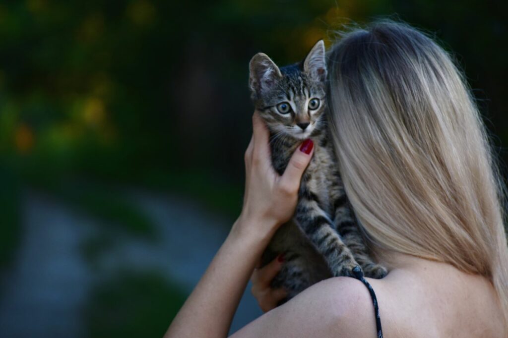 prendere in braccio gatto