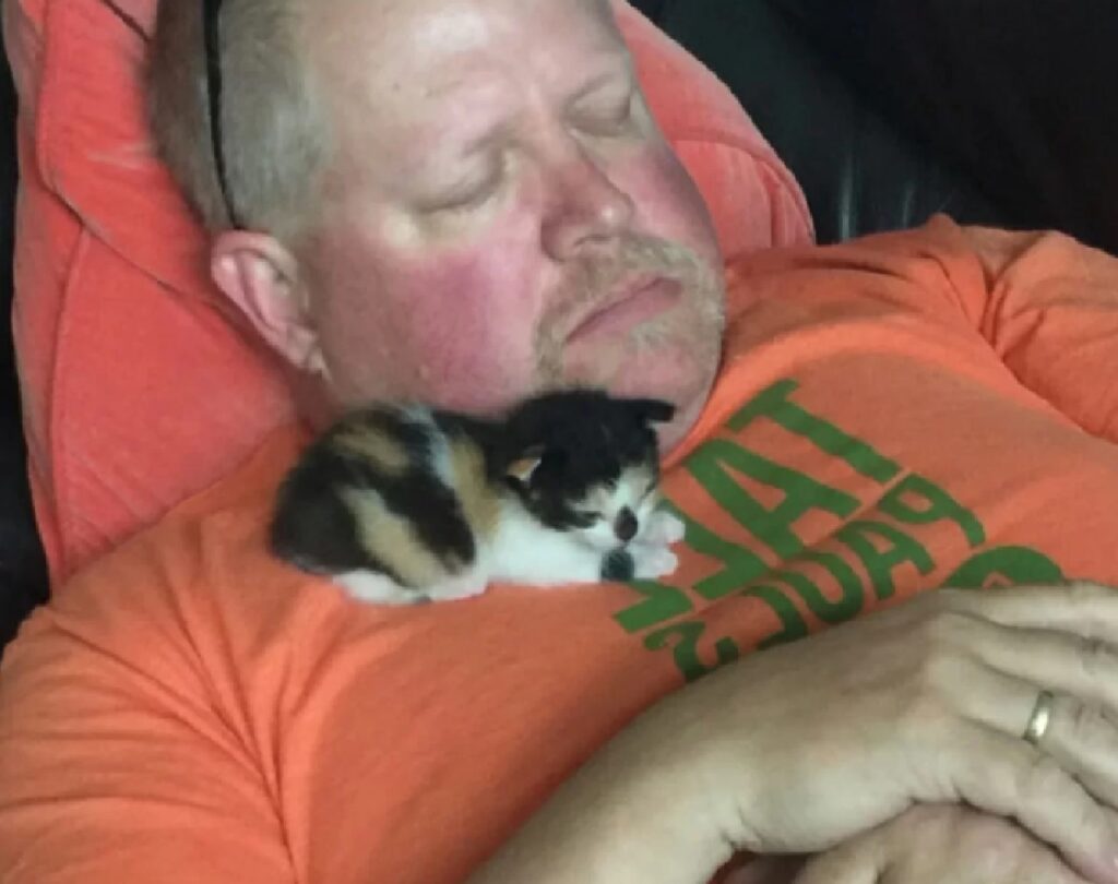 papà riposa gatto dorme