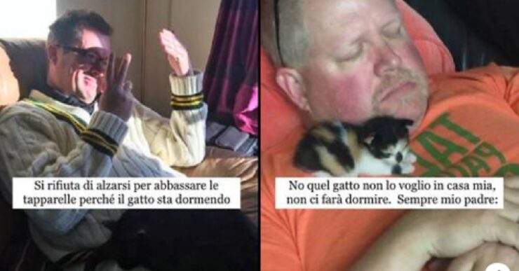 otto papà che dicevano di odiare i gatti