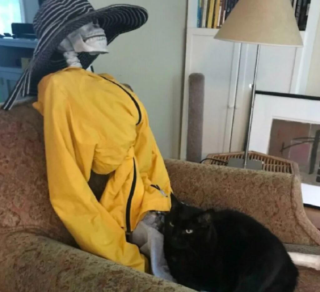 gatto scheletro con vestito giallo 