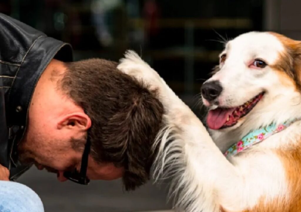 cane zampa sulla testa uomo 