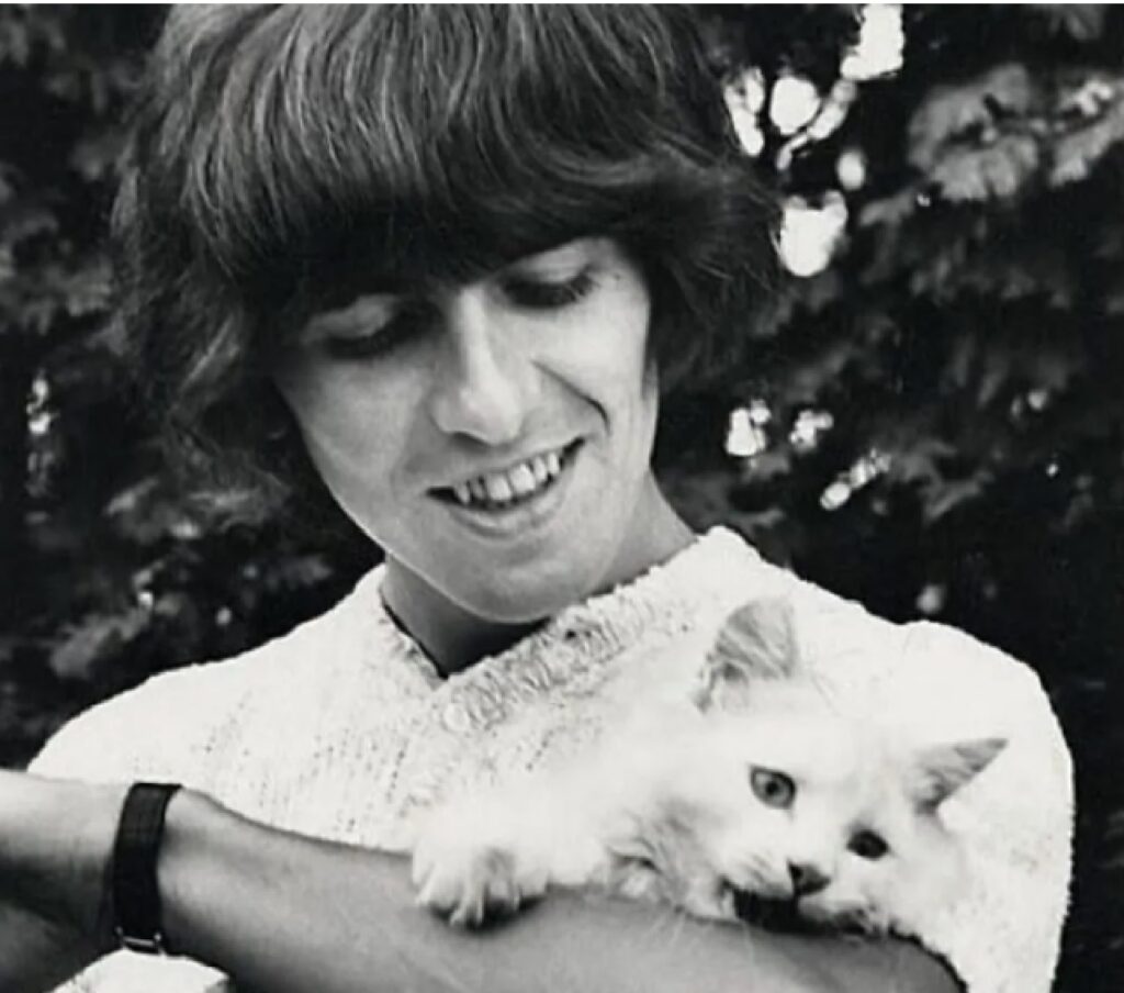 george harrison con gatto 