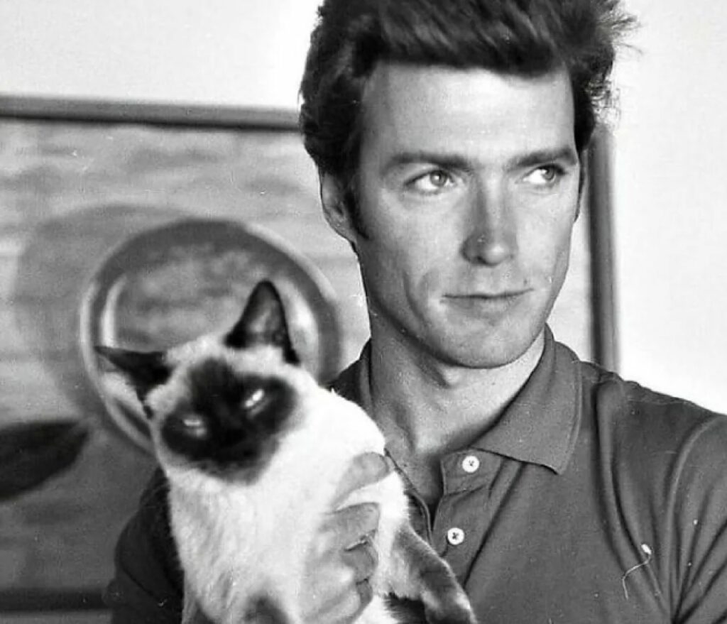 clint eastwood con gatto 