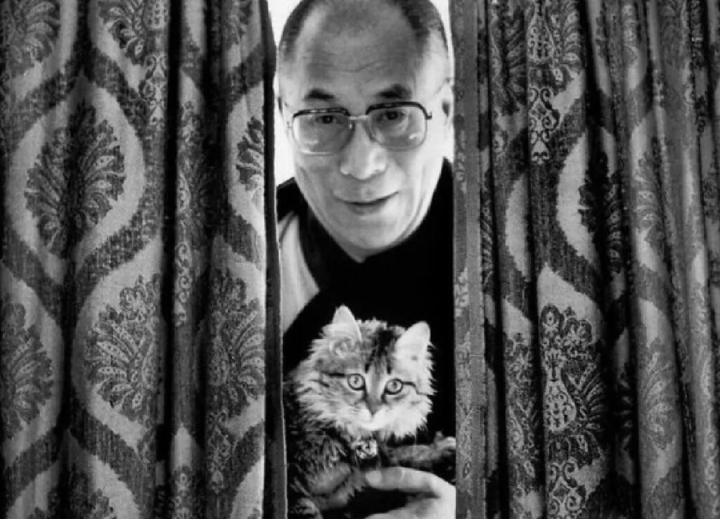 dalai lama con gatto 