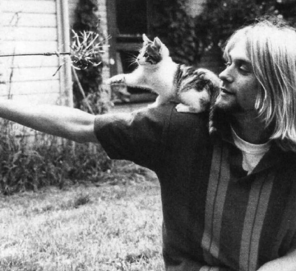 kurt cobain con gatto 